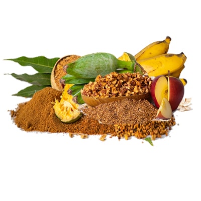 Dehydrate Fruit